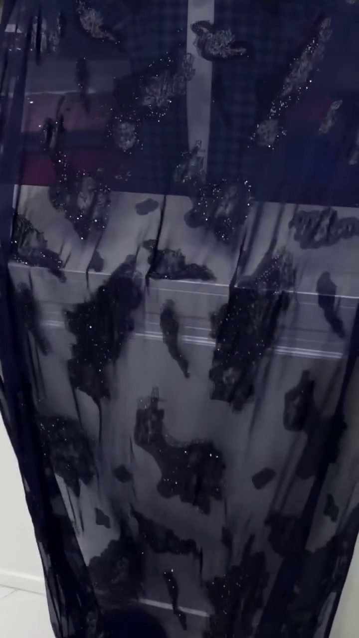 Midnight Blue Sheer Organza Saree with Glitter Floral Appliqué – Elegant & Ethereal Party Wear