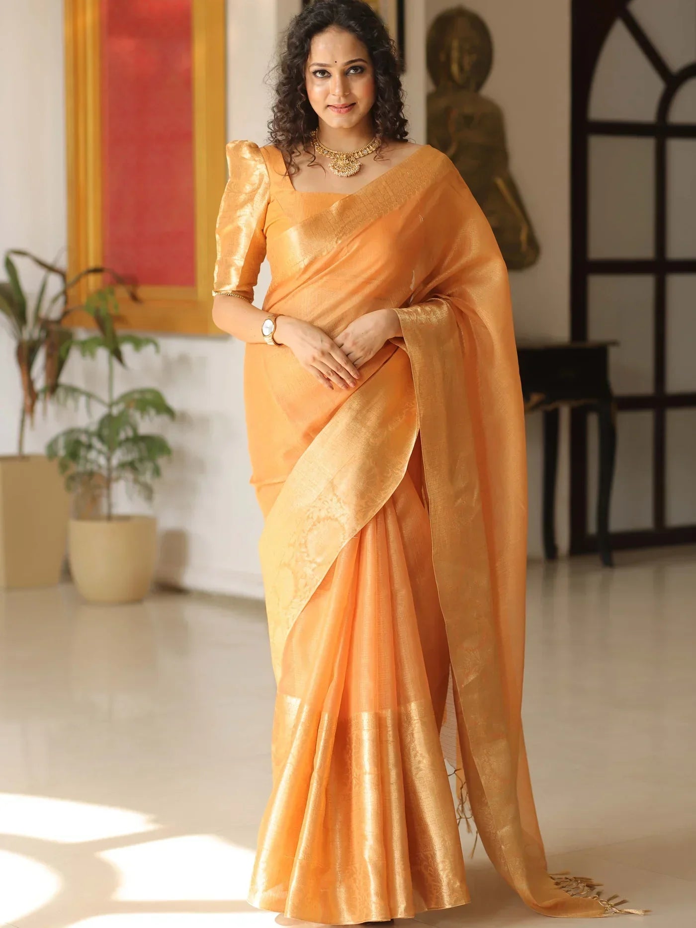 Banarasee Handwoven Plain Tissue Skirt Border Saree