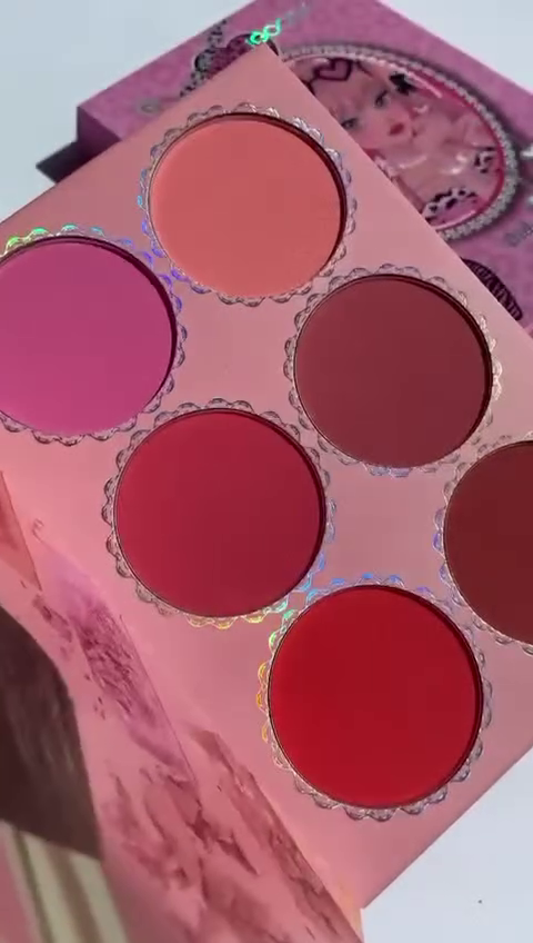Multicolor Lipstick and Highlighter Palette Set with Variety of Shades for Professional Makeup Application - Includes Matte, Shimmer, and Glossy Finishes for All Skin Tones, Perfect for Everyday Wear or Special Occasions